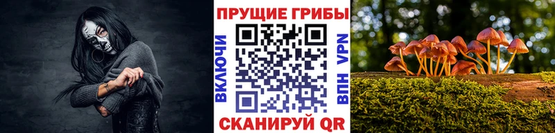 Купить  Сольвычегодск  Псилоцибиновые грибы мухоморы 